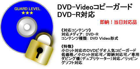 DVD-VideoRs[K[h@DVD-RΉ
