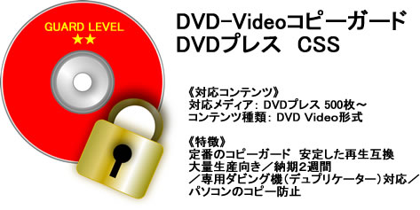 DVD-VideoRs[K[h@DVDvX@CSS