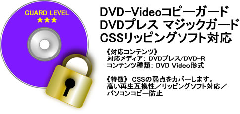 DVD-VideoRs[K[h@DVDvX